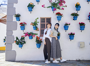 ストリートミュージカル